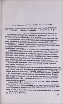 Действие ингибитора синтеза ДНК-5-АУ на облученные клетки Crepis Capillaris в фазах G1 и S