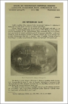 Աշոտ Բագրատունու կնիքը