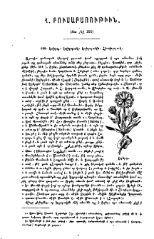 Հայկական բուսաբառութիւն