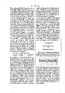 Քարացած անտառ