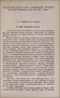 О двух масличных кустах