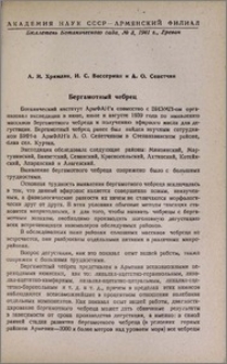 Бергамотный чебрец