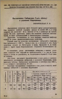 Лиственница Сибирская (Larix sibirica)в условиях Кировакана