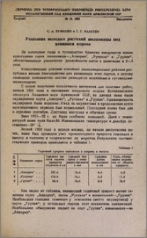 Усыхание молодых растений шелковицы под влиянием мороза