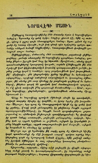 Նորավէպի մասին