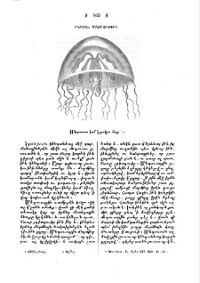 Մեդուսա կամ՝ Ծովու մայր