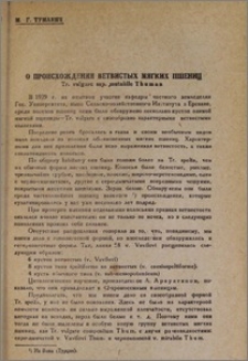 О происхождении ветвистых мягких пшениц