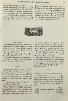 Աժան ձի