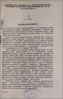 Закавказская пищуха