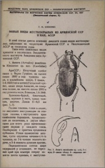Новые виды жесткокрылых из Армянской ССР и Нах. АССР
