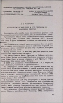 Азербайджанский зебу и его гибриды со швицким скотом