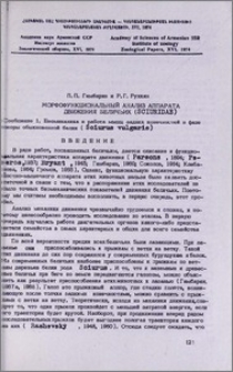Морфофункциональный анализ аппарата движения беличьих (Sciuridae). Сообщение 1. Биомеханика и работа мышц задних конечностей в фазе опоры обыкновенной белки (Sciurus vulgaris)