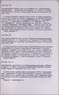 Резюме