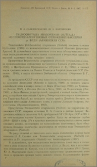 Truncorotalia aragonensis (Nuttall) из нижнепалеогеновых отложений бассейна р. Веди (Армянская ССР)