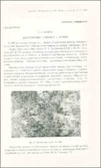 Диатомовые глины у с. Арапи