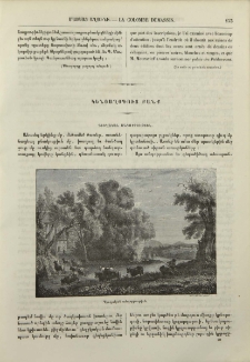 Գիւղական անդորրութիւն
