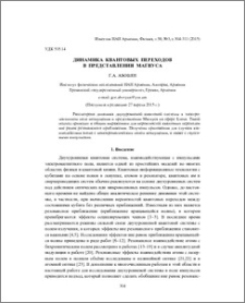 Динамика квантовых переходов в представлении Магнуса