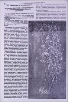 Подземное цветение и плодоношение у Lens ervoides (Brign.) Grande (Fabaceae)