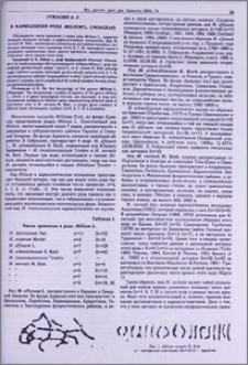 К кариологии рода Millium L. (Poaceae)