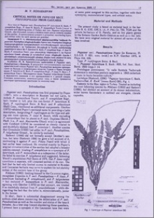 Critical notes on Papaver sect. Pseudopilosa from Caucasia