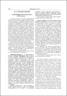 К эволюции Punica granatum L. (Punicaceae)