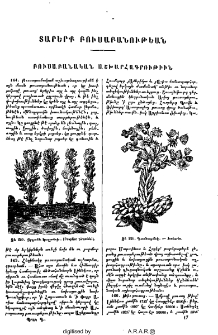 Տարերք բուսաբանութեան