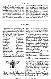 Մեղուք