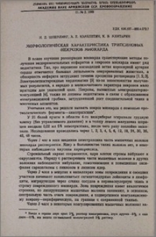Морфологическая характеристика трипсиновых некрозов миокарда
