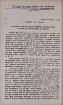 Динамика сокращения правого предсердия и правого желудочка в норме
