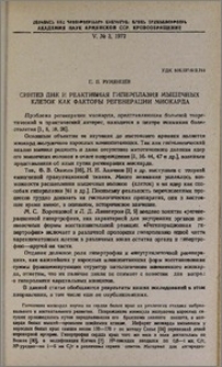Синтез ДНК и реактивная гиперплазия мышечных клеток как факторы регенерации миокарда