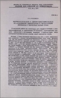 Морфологическое и авторадиографическое исследование заживления и регенерации миокарда у взрослых белых крыс