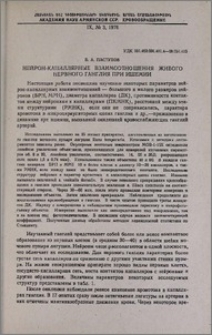 Нейрон-капиллярные взаимоотношения живого нервного ганглия при ишемии