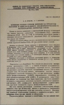 Влияние ранних сроков ишемии на процессы дыхания и окислительного фосфорилирования в митохондриях миокарда собак