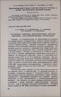 Начальные признаки мелкоочагового некроза миокарда при моделировании стенокардии