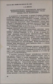 Морфологические особенности эндотелия эпикардиального лимфатического русла сердца после реанимации