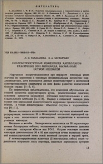 Ультраструктурные изменения капилляров различных зон миокарда, вызванные острой ишемией
