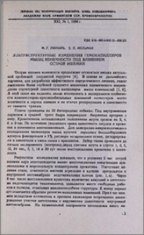 Ультраструктурные изменения гемокапилляров мышц конечности под влиянием острой ишемии