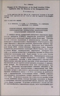 Сканирующая электронная микроскопия коррозионных препаратов микрососудов околоушной слюнной железы