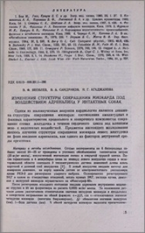 Изменения структуры сокращения миокарда под воздействием адреналина у интактных собак