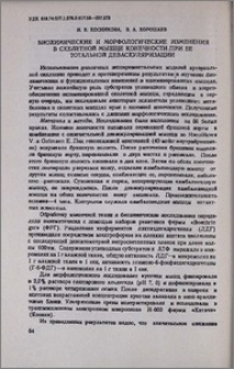 Биохимически и морфологические изменения в скелетной мышце конечности при ее тотальной деваскуляризации