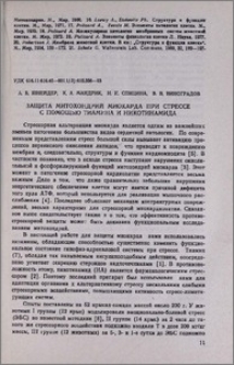 Защита митохондрий миокарда при стрессе с помощью тиамина и никотинамида
