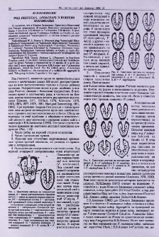 Род Festuca L. (Poaceae) в Южном Закавказье