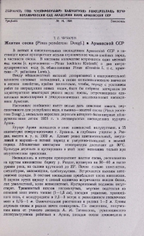 Желтая сосна (Pinus ponderosa Dougl.) в Армянской ССР