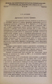 Древесные экзоты Еревана