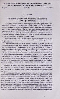 Принципы устройства хвойного арборетума (кониферетума)