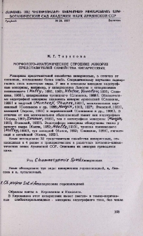 Морфолого-анатомическое строение микориз представителей семейства кипарисовых