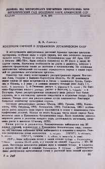 Коллекция сиреней в Ереванском ботаническом саду
