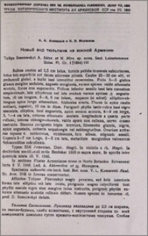 Новый вид тюльпана из южной Армении