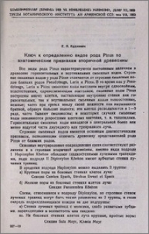 Ключ к определению видов рода Pinus по анатомическим признакам вторичной древесины