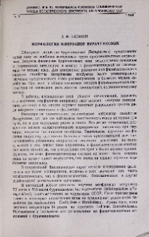 Морфология микроспор бурачниковых